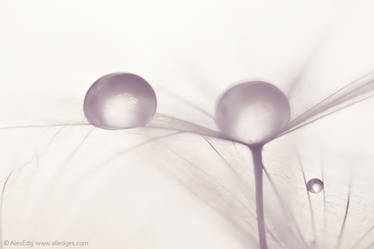droplets 017