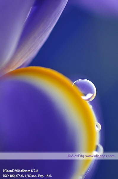 droplets 018