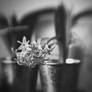 Still Life. 094