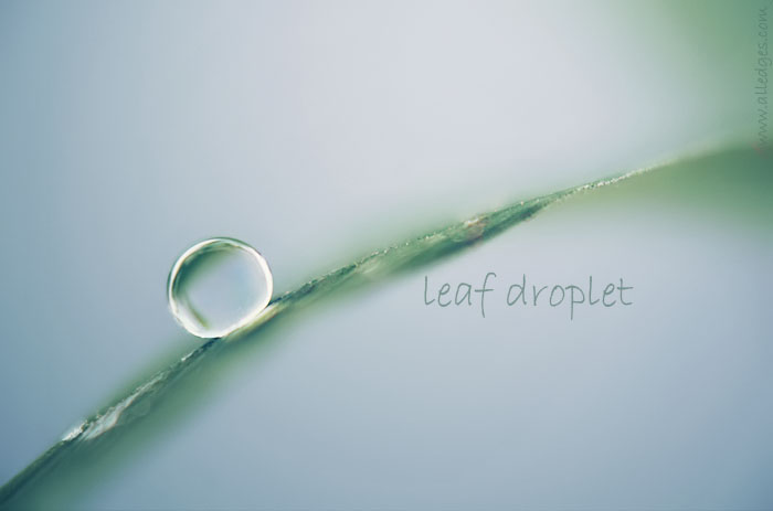 droplet. 020