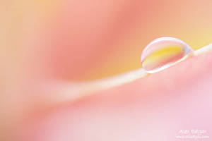 droplet. 021