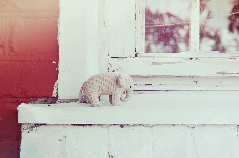 toy