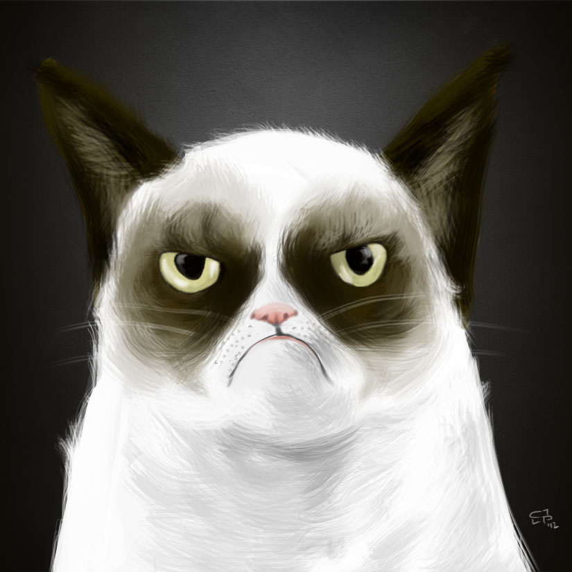 Grumpy Cat