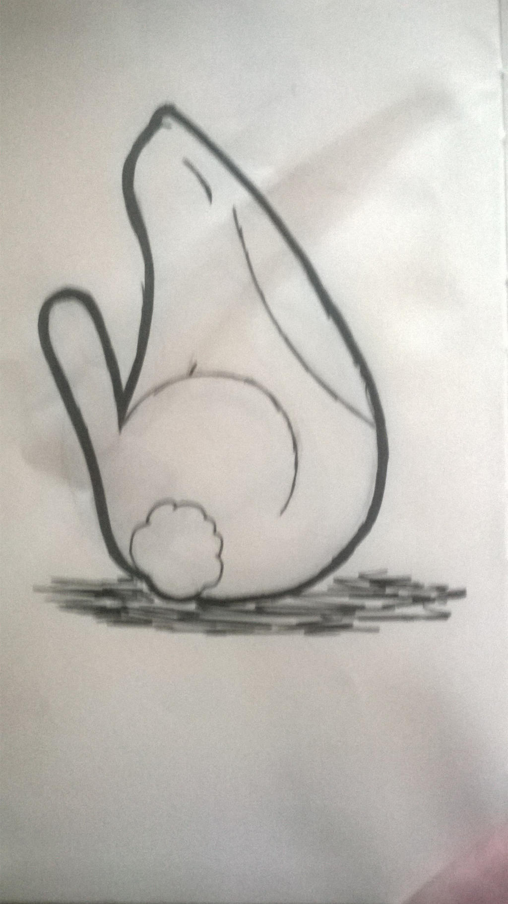 Teardrop Rabbit by TheLogicCanoe on DeviantArt