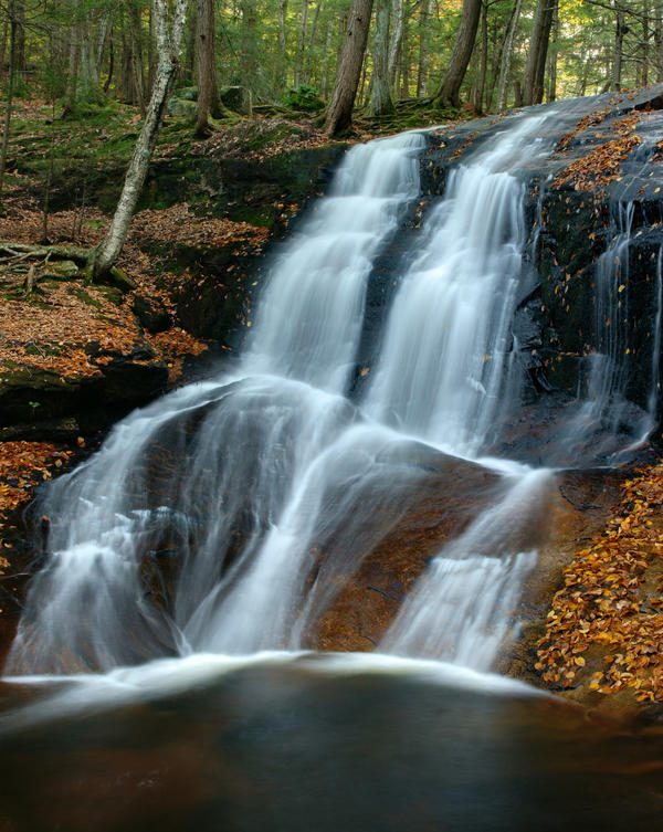 Chapel Brook