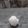 My first snowball this year