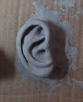 Ear, sculpted, beguiling