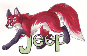 Jeep fox