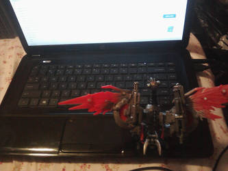 Lazerbeak seems intersted in my ltptop