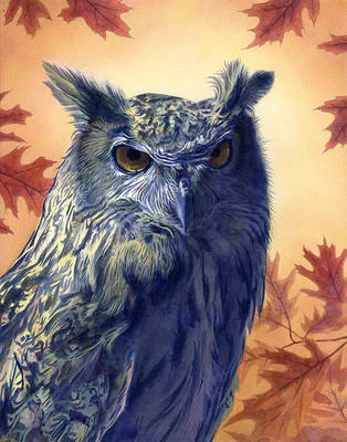 Owl by Alanpaints