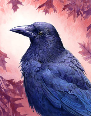 Crow by Alanpaints