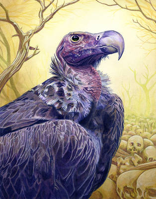 Vulture by Alanpaints