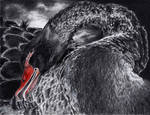 Dark feathers by ISG-Art