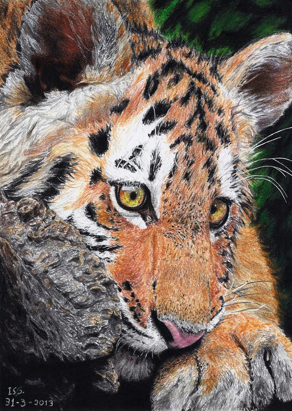 Young Richard Parker by ISG-Art
