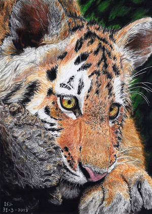 Young Richard Parker by ISG-Art Young Richard Parker by ISG-Art