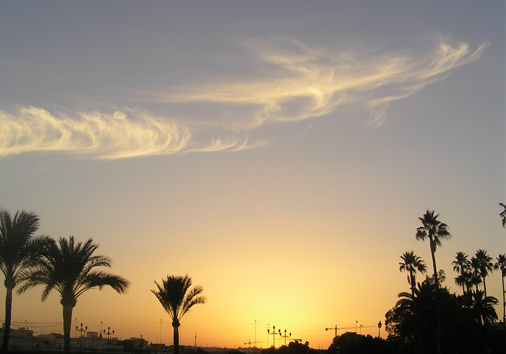 Photo: Guadalquivir, Sevilla