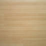 Texture: Wood Floor