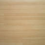 Texture: Wood Floor