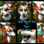 Piper the Husky .:premade:.