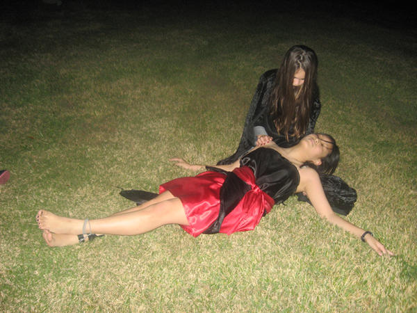 Vampire Attack by Elistra on DeviantArt