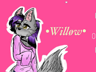 Willow [my main Oc] reference [redraw]