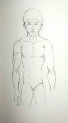 Unfinished proportions practice sketch