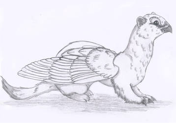 Griffin - Winter weasel / willow ptarmigan