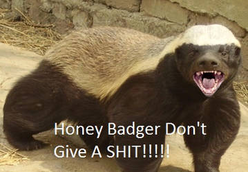 Honey Badger Avatar