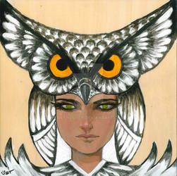 Owl girl