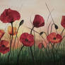 Poppies