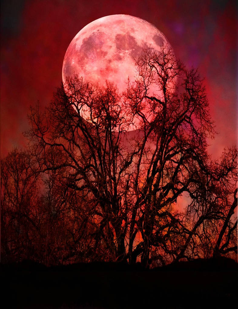 Есть кровавая ночь. Полнолуние Кровавая Луна. Кровавая Луна 2022. Красная Кровавая Луна. Кровавая Луна. Allaedel.