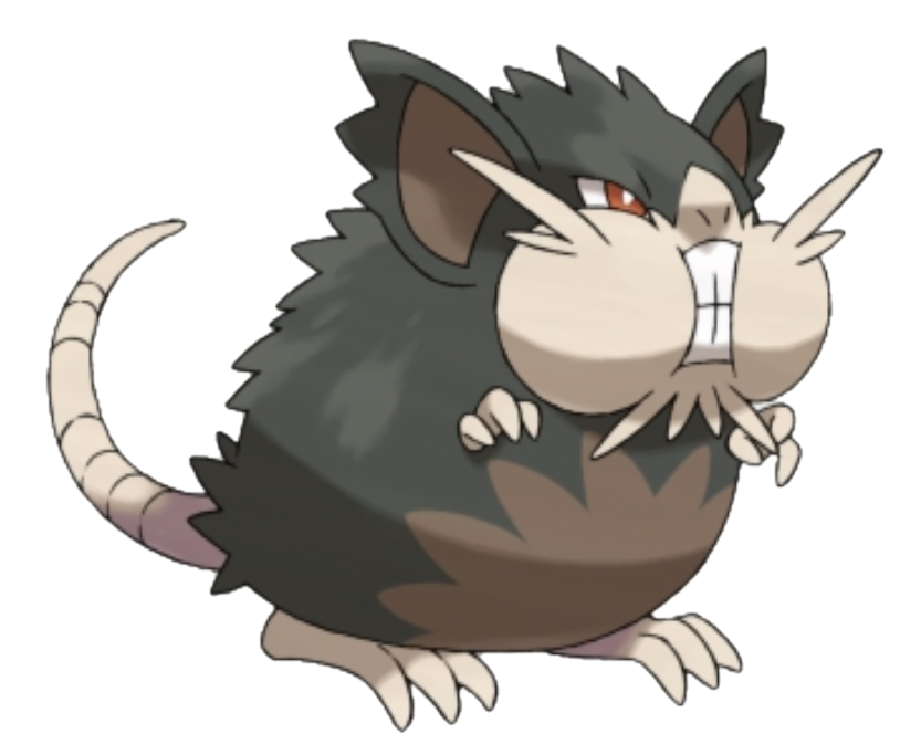 Pokemon - 020 Alolan Raticate by Maxtubegaming13 on DeviantArt