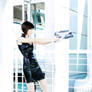 Shepard V