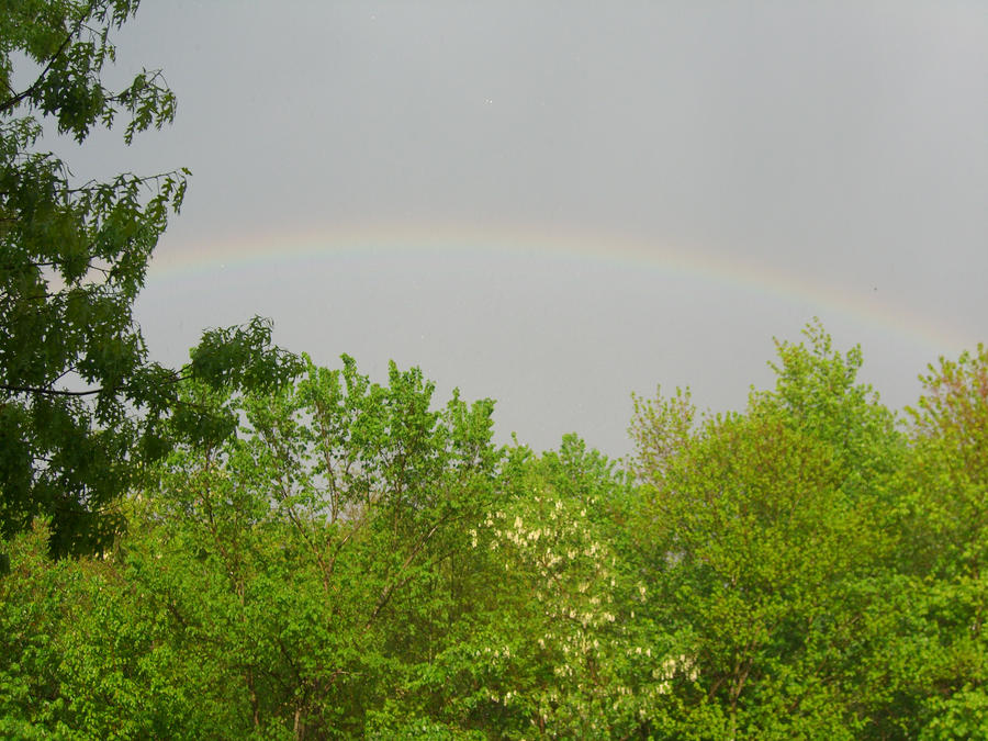 Rainbow in the Sky