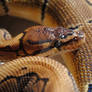 Pinstripe Ball Python