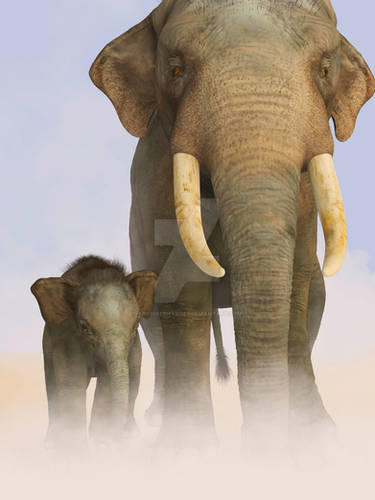 Indian Elephants in the Mist