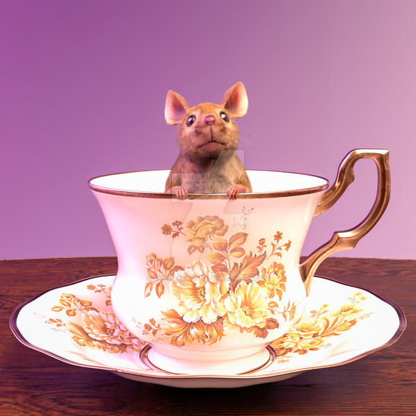 Mouse In Teacup Mouse in a Teacup by AbilioFernandez on DeviantArt