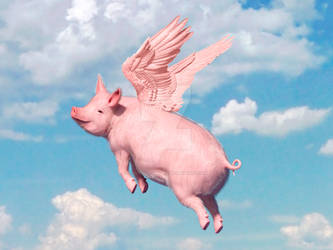 Sometimes I see a flying pig