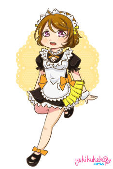 Koizumi Hanayo!