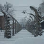 Poland - Auschwitz