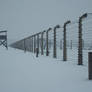 Auschwitz-Fence