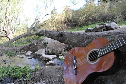 Guitar and Nature