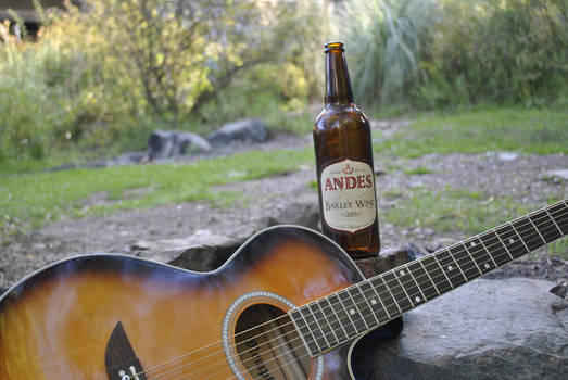 Guitar, nature and a beer