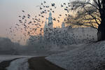 The Rising by jfb