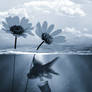 a new life