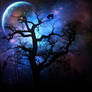 silent night