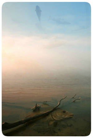 silent death by beyzayildirim77 silent death by beyzayildirim77
