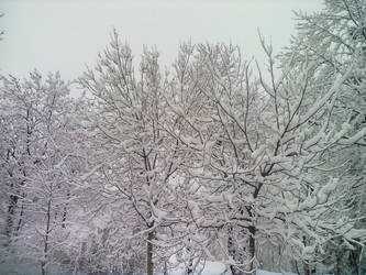 snow2