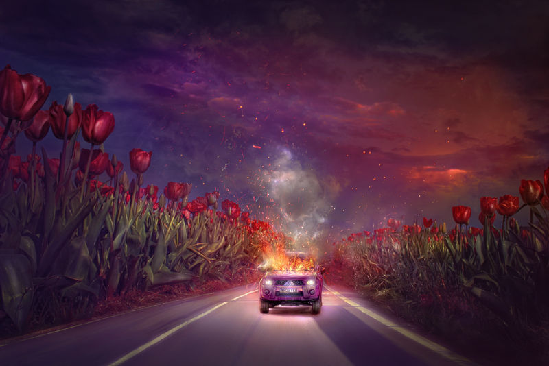 Tulip Road by thegirlcansmile