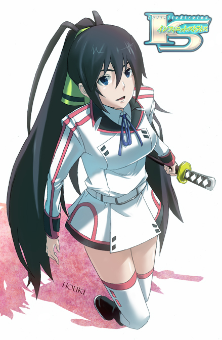 Pin on infinite Stratos Art